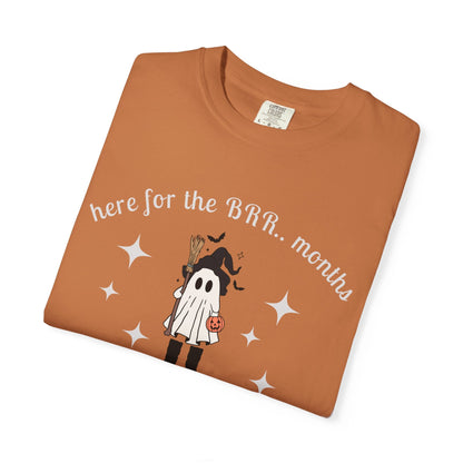 Here For The 'BER Months Shirt