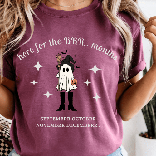 Here For The 'BER Months Shirt